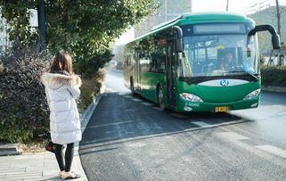 吃瓜网红公交车,网友直呼笑到肚子疼！