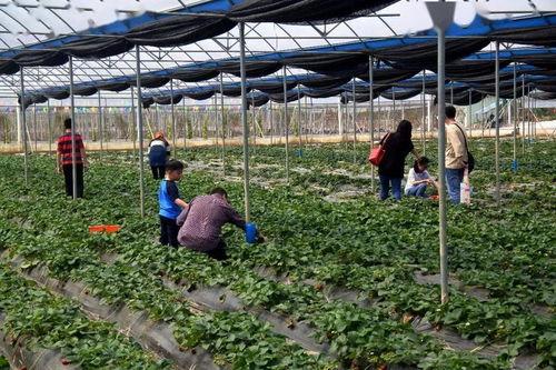吃瓜网红打卡地,揭秘吃瓜群众的潮流聚集地