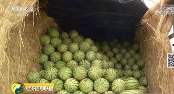 全球第一吃瓜网,揭秘娱乐圈幕后真相，带你领略娱乐界的风云变幻