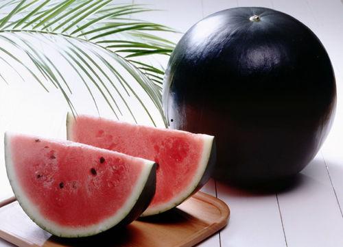 黑暗吃瓜网官网